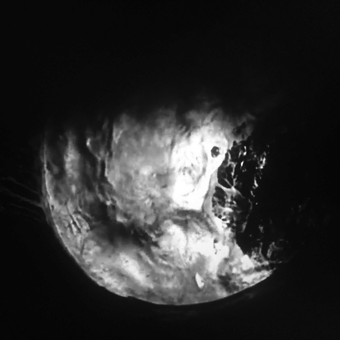 imagen 15. ferran destemple